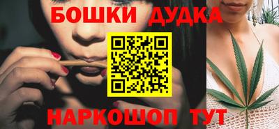 крисы Усть-Илимск